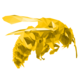 Bee.png