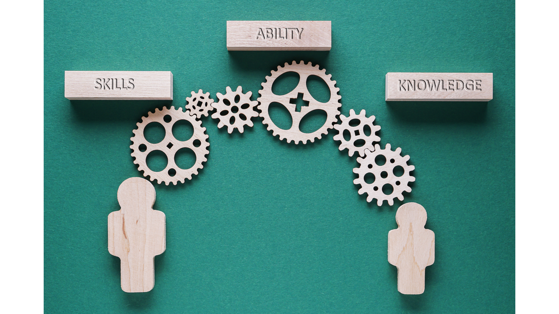 skills/ability/knowledge