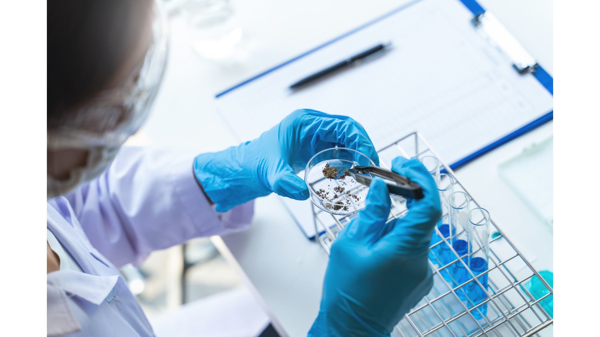 Life sciences roles