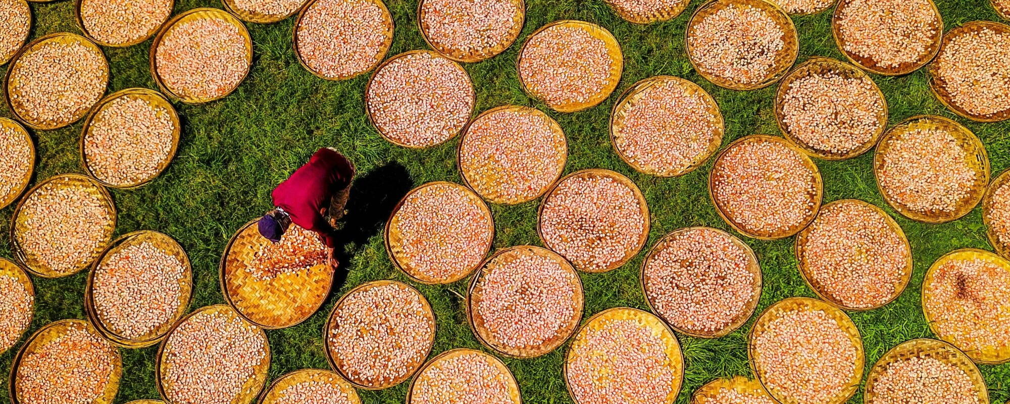 Image 2025 07 06 T12 24 53