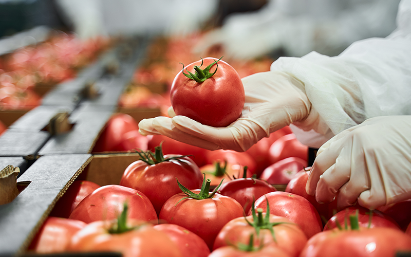 Image 2025 09 09 T11 27 43