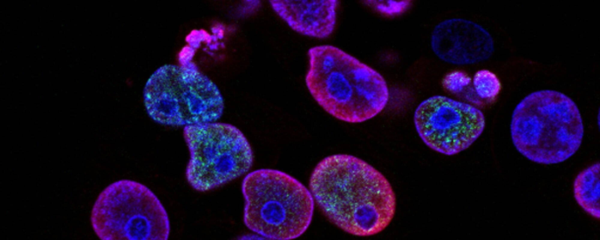 Image 2025 06 09 T04 58 51