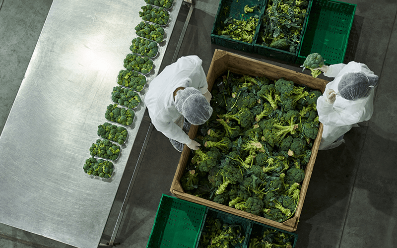 Image 2025 09 09 T11 24 55