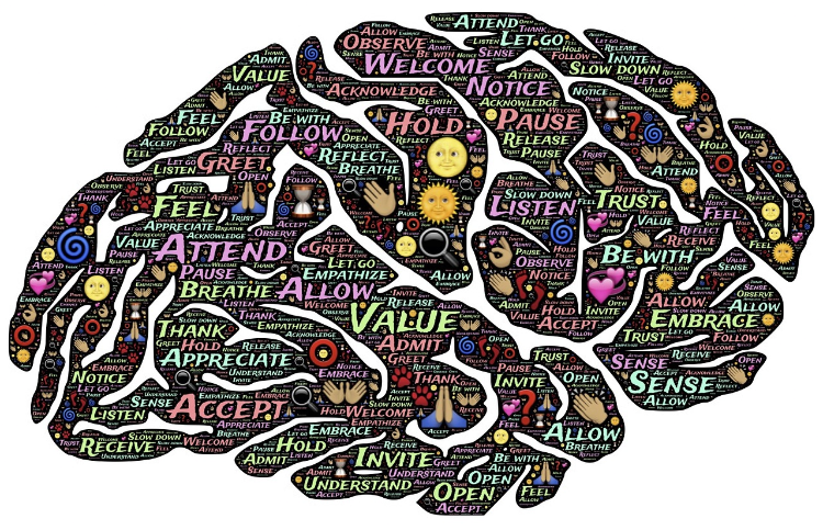 Brain Resized