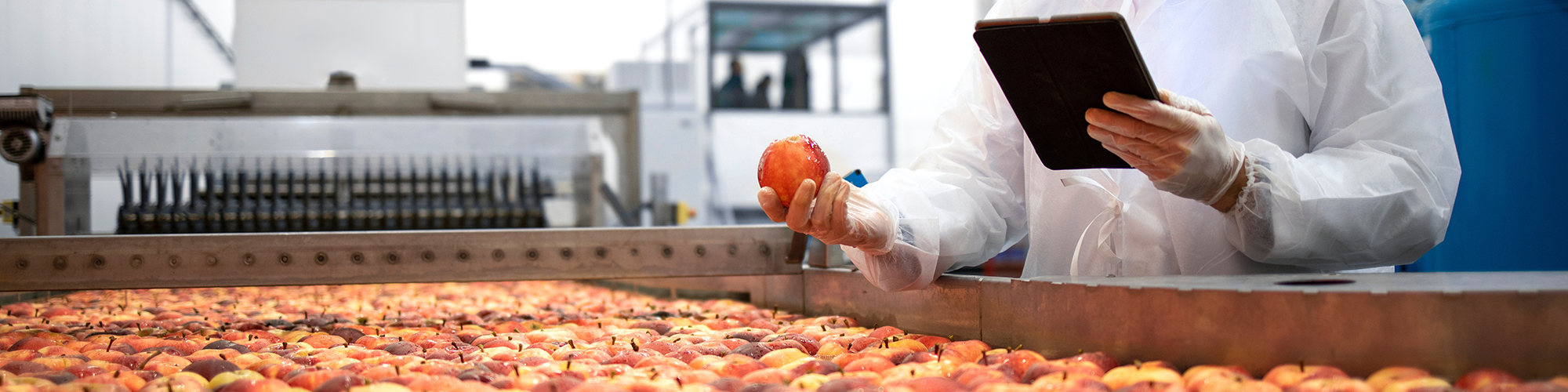 FMCG & Food Production 